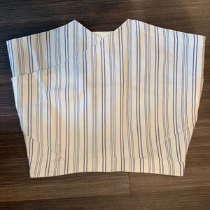 BCBG max azria skort